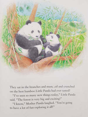 By My Side, Little Panda Like New, 3+ yrs Recuddles.ch  (6594111209657)
