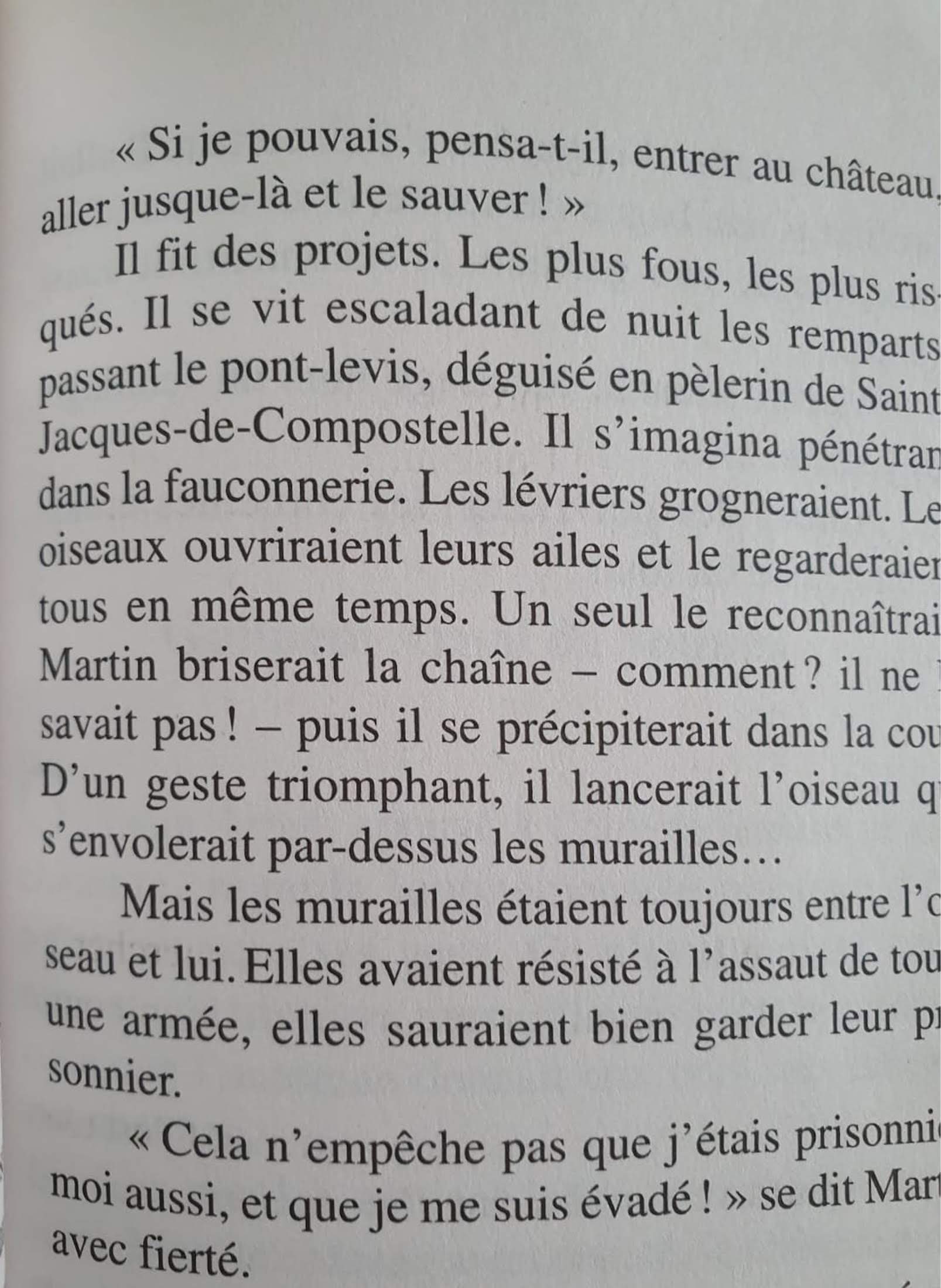 Jean-Côme Noguès Le Faucon déniché Like New Recuddles.ch  (6097249992889)
