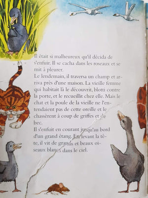 La Magie des Contes Well Read, 6+ Yrs Recuddles.ch  (6561547124921)
