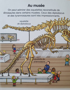 L'imagerie des tout-petits Les dinosaure Very Good, 3-6 yrs Recuddles.ch  (6688597573817)
