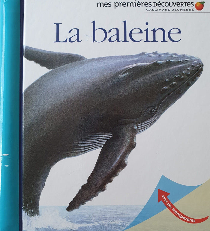 Mes Premieres Decouvertes : La Baleine