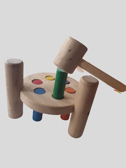 Montessori Wooden Toy