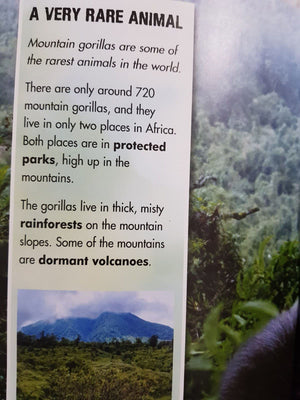 Mountain gorillas in danger Very Good, 6+ Yrs Recuddles.ch  (6706330763449)