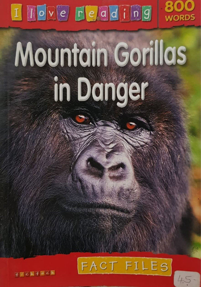 Mountain gorillas in danger