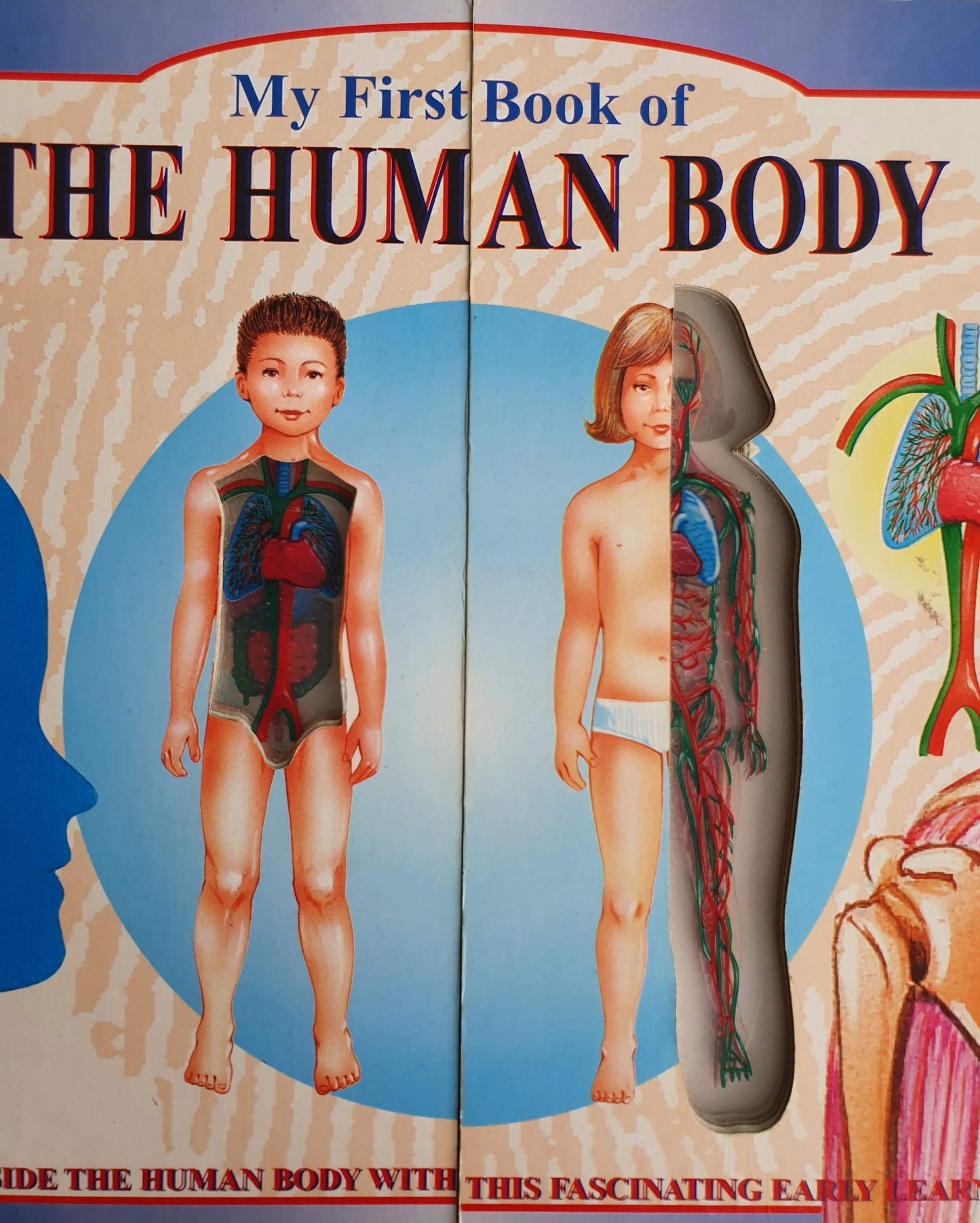 My first book of-The Human body Very Good Not Applicable  (4603217248311)