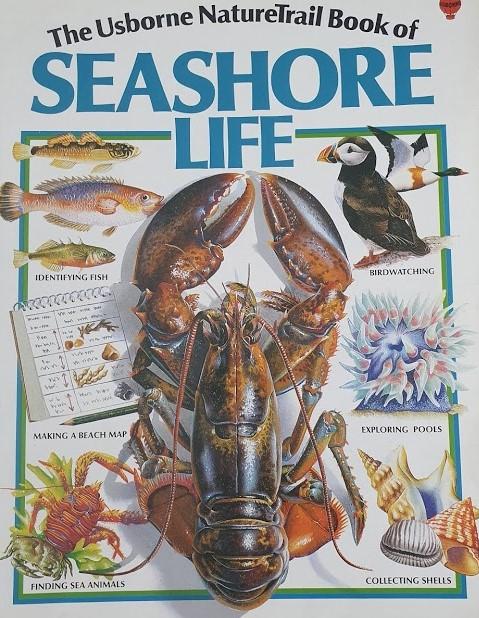 Seashore Life Very Good usborne  (6312294449337)